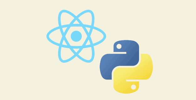 Python with React Internship